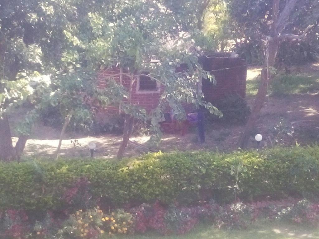 Rishi Valley Resort Farmstay Pushkar Exterior photo